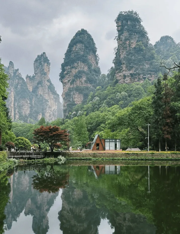 现在旅游张家界(现在张家界旅游安全吗)