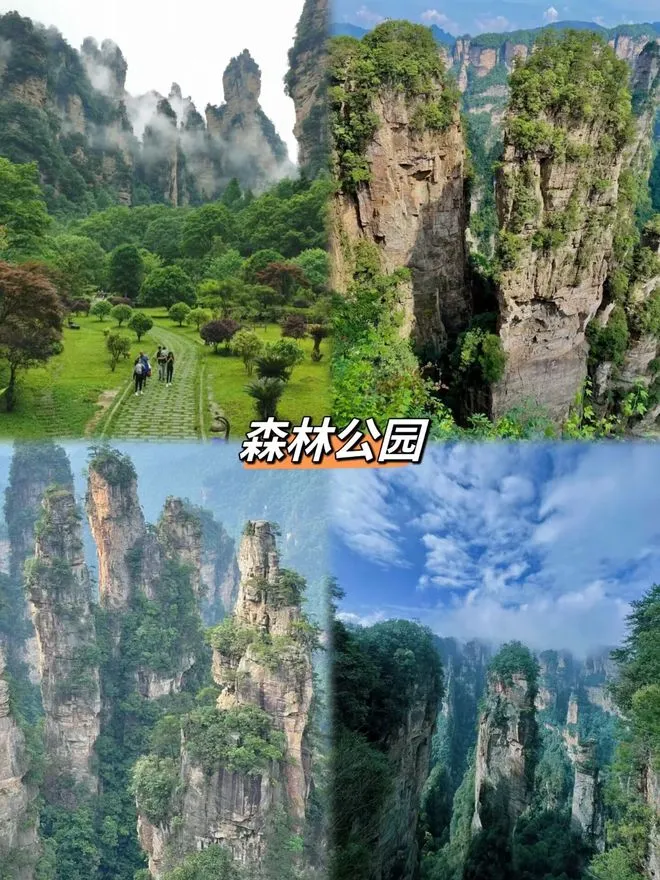 去张家界旅游攻略3天(张家界旅游攻略3天二晚)
