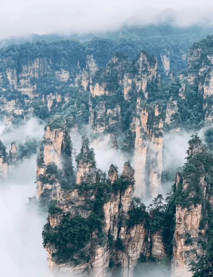 张家界旅游好地方(张家界推荐的旅游景点)