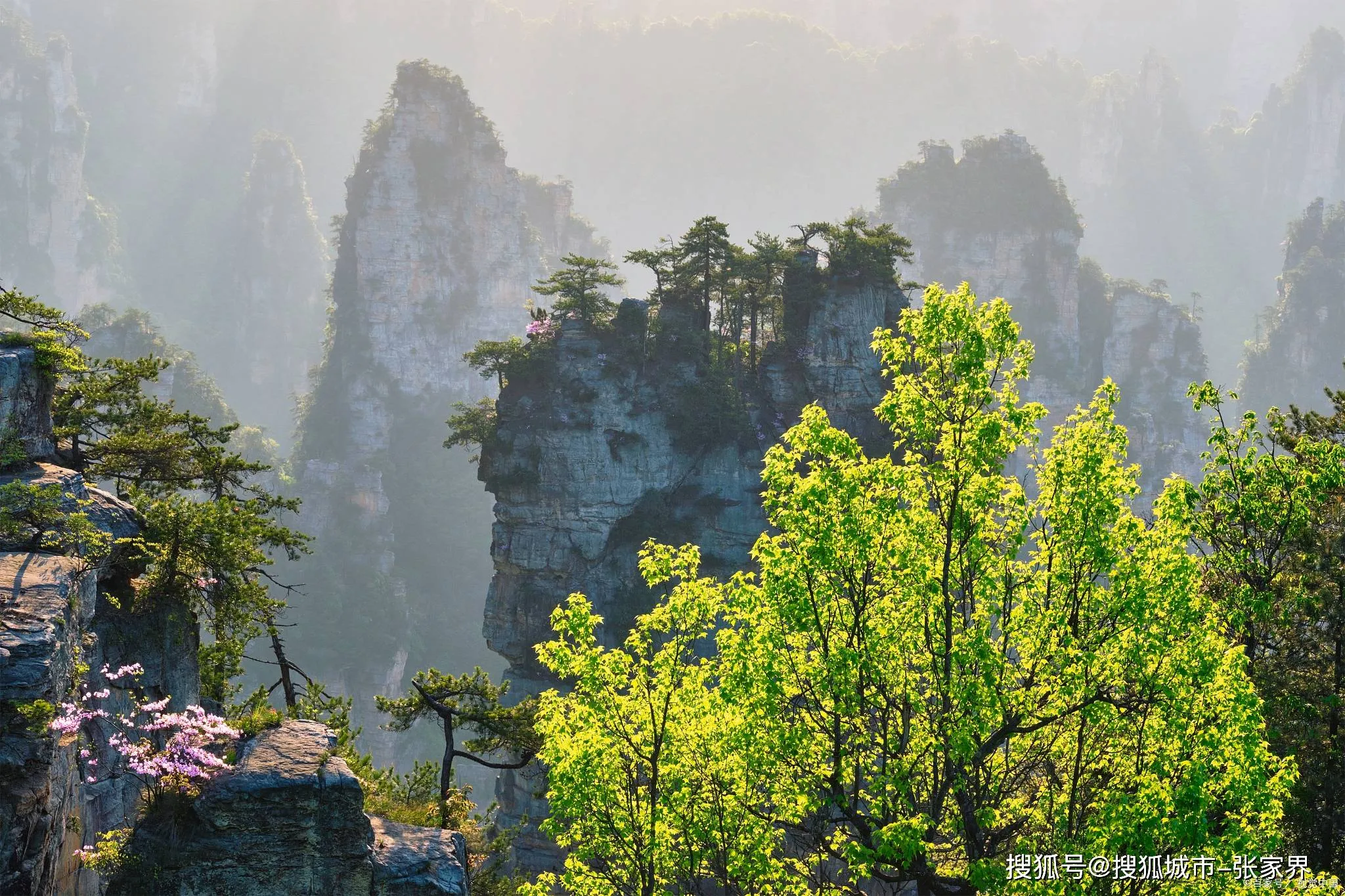 张家界天门山有哪些景点(张家界天门山有哪些景点图片)