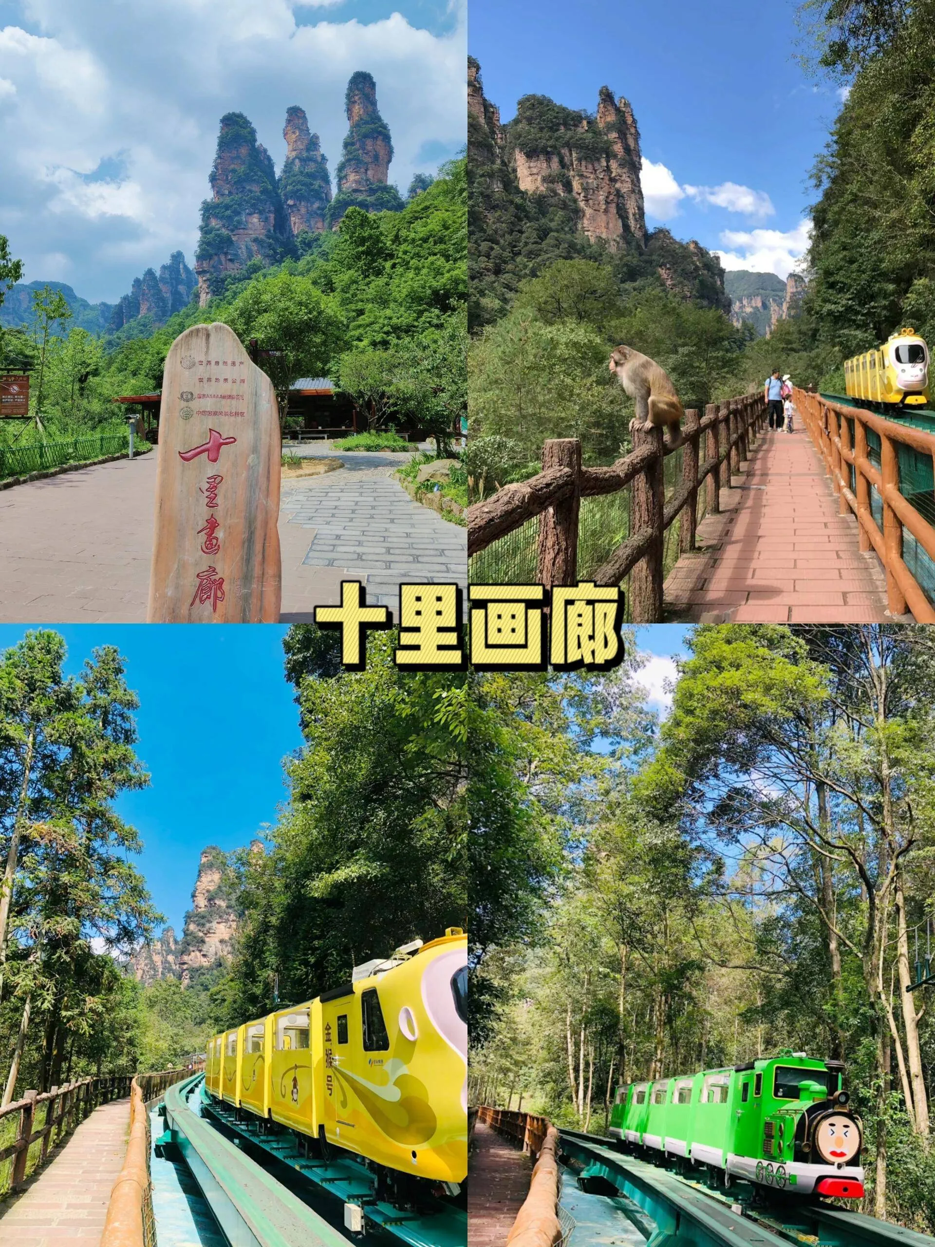 老年人张家界自由行旅游攻略的简单介绍