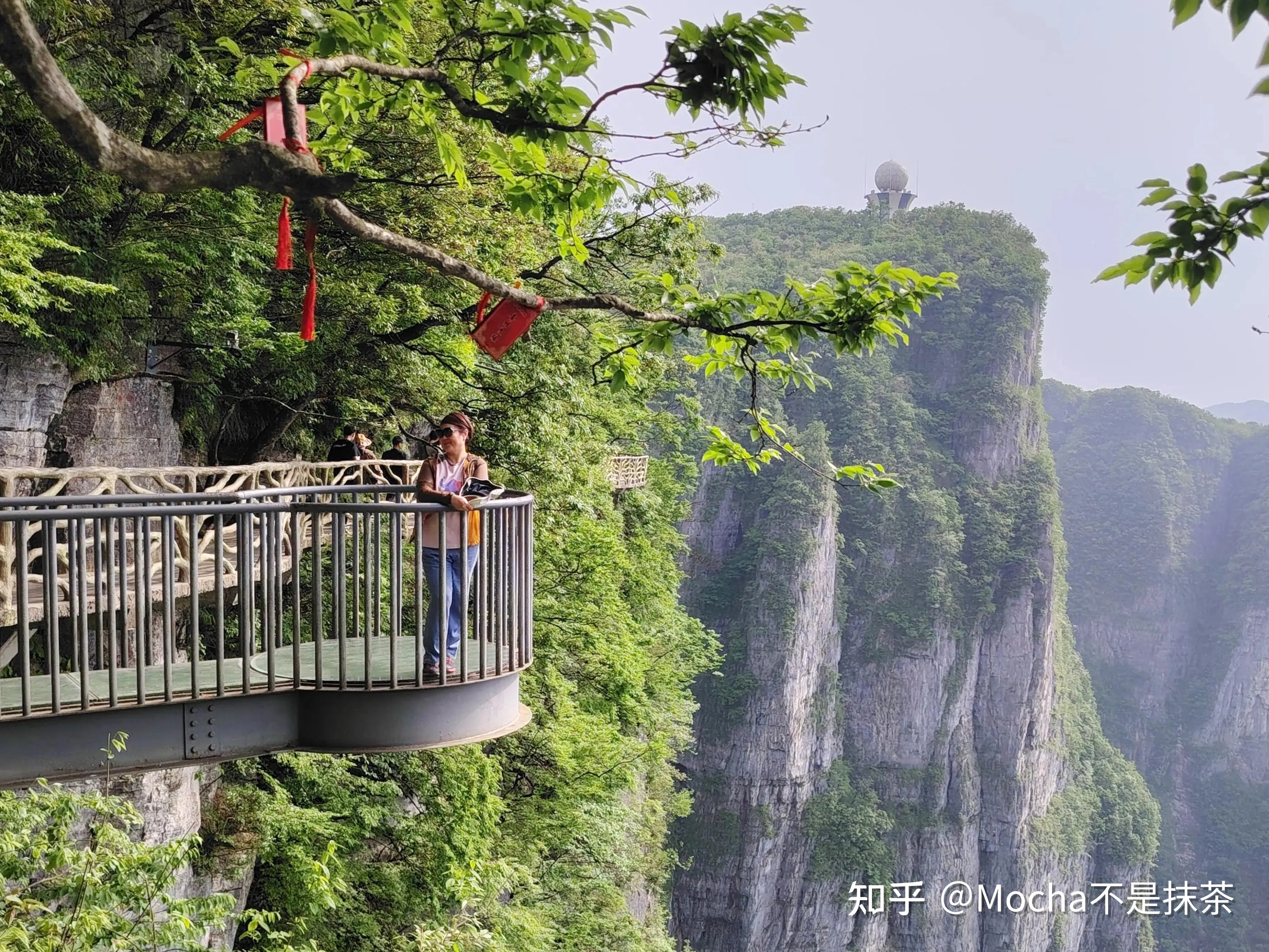 张家界天门山风景区门票儿童票(张家界天门山景区门票价格多少钱?)