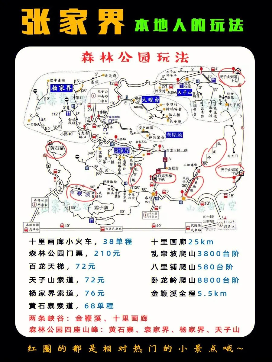 张家界游玩攻略景点大全(张家界游玩攻略景点大全免费)