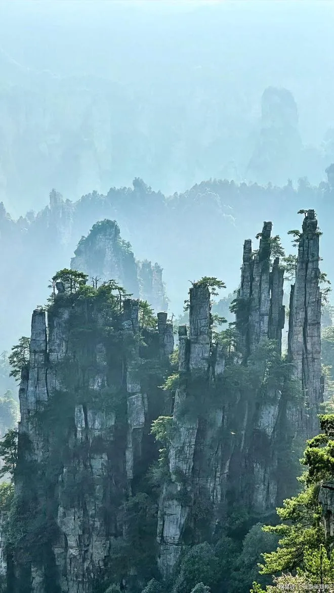 几月去张家界旅游最好玩(几月份去张家界旅游最好张家界)
