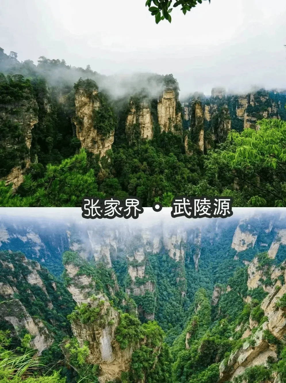 张家界天门山玻璃栈道多少钱(2016年张家界天门山景区的玻璃栈道)