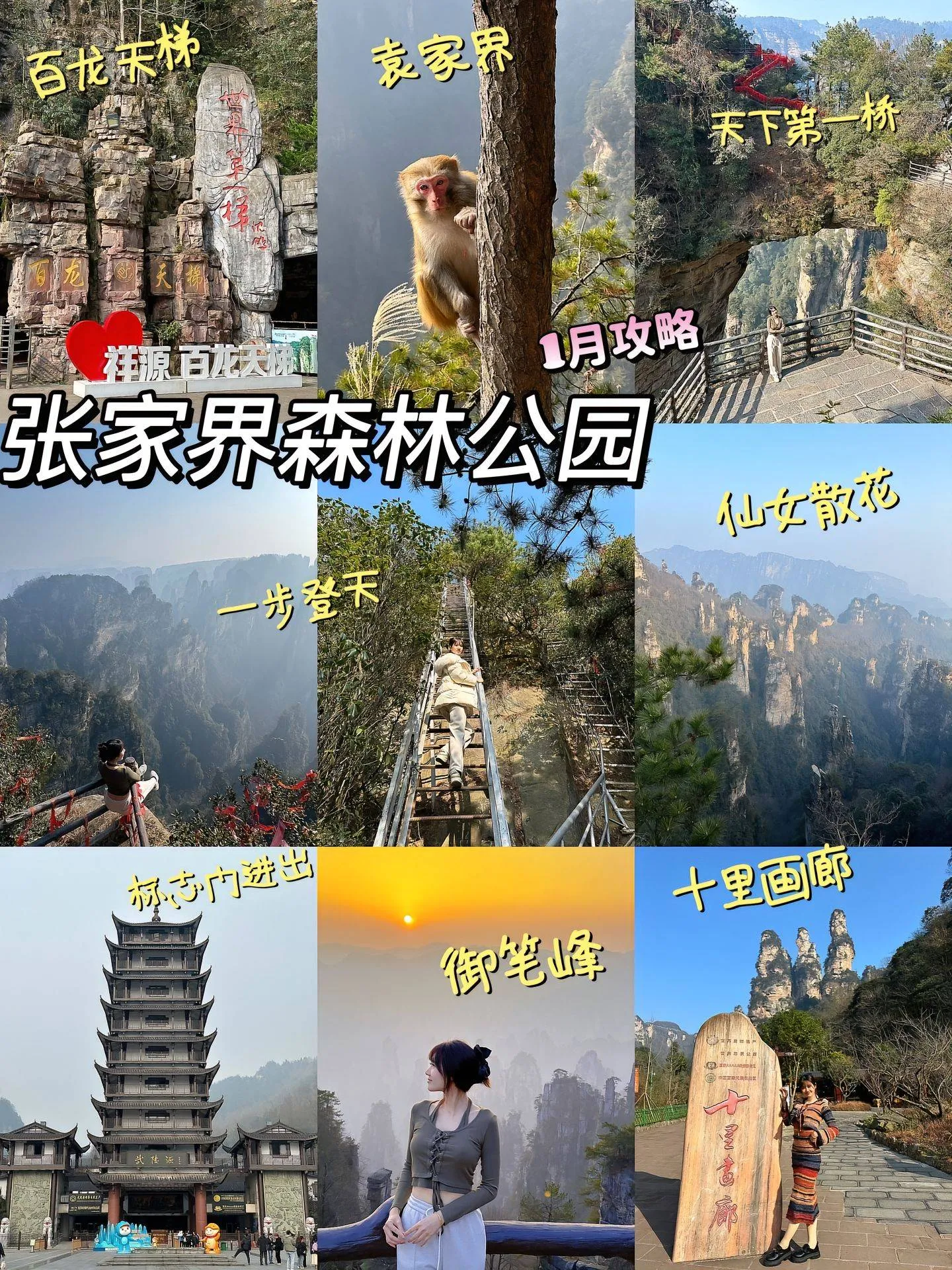 湖南张家界的旅游攻略(湖南张家界旅游攻略3日游视频)