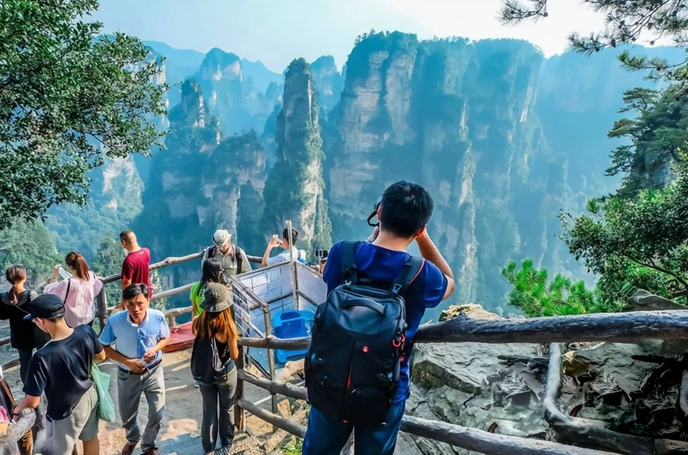 旅游张家界5日游(张家界旅游攻略五日游)