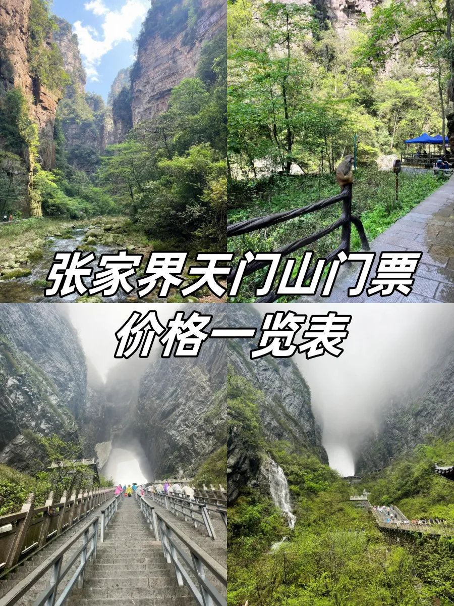 张家界景区天门山多少钱(张家界天门山门票多少钱一张)