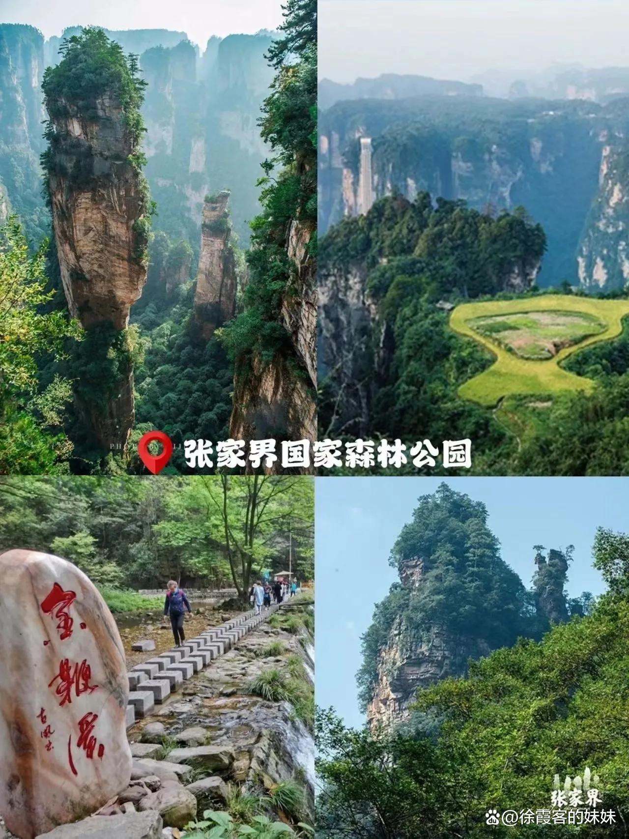 张家界必玩的三个地方(张家界不跟团自由行攻略)