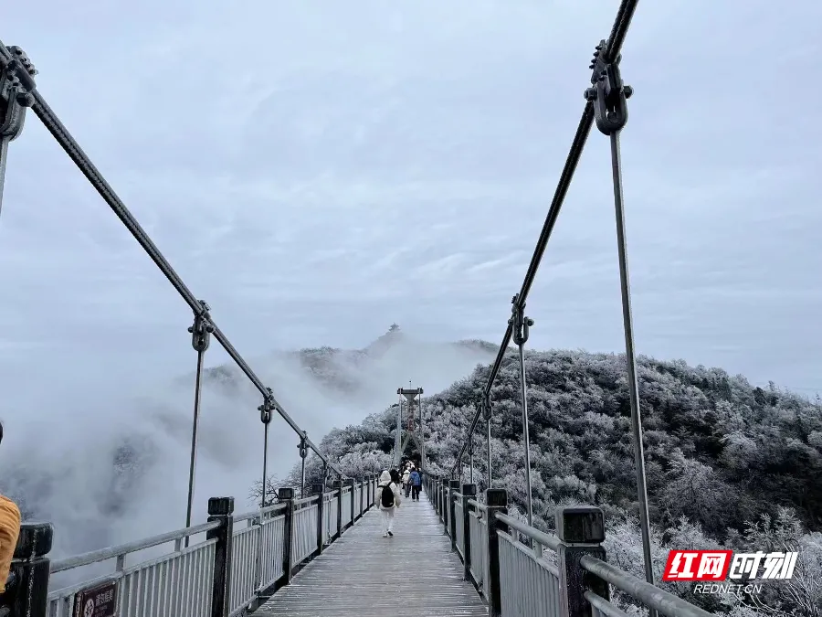 冬季张家界旅游攻略天气预报(冬季张家界旅游攻略天气预报最新)