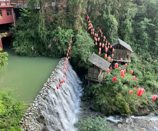 去张家界六日游玩(去张家界六日游玩作文)