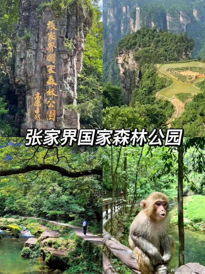 天门山好玩还是张家界(天门山好玩还是张家界国家森林公园好玩带娃儿)