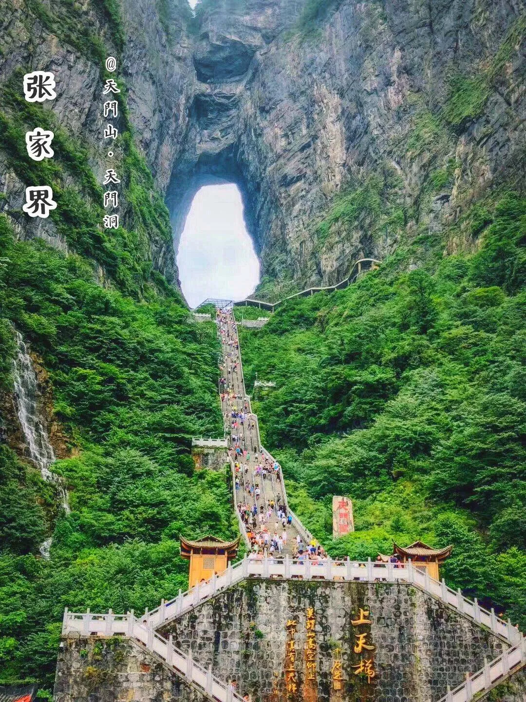 张家界去张家界旅行(张家界去张家界旅行攻略)