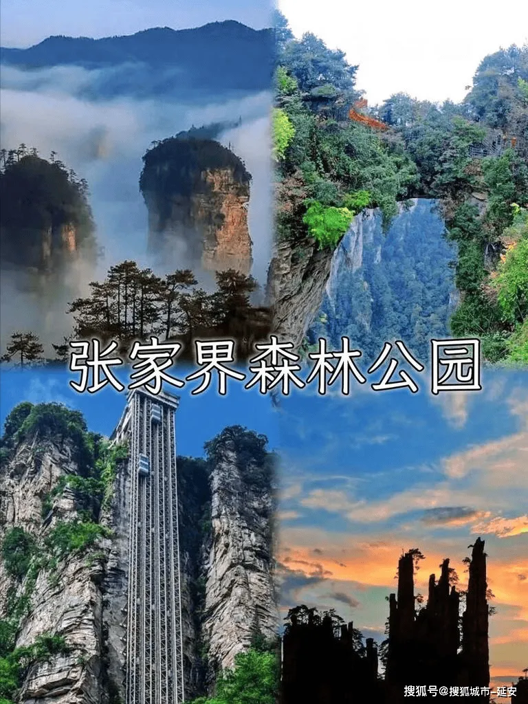 带孩子去张家界旅游攻略(张家界游玩路线推荐带孩子)