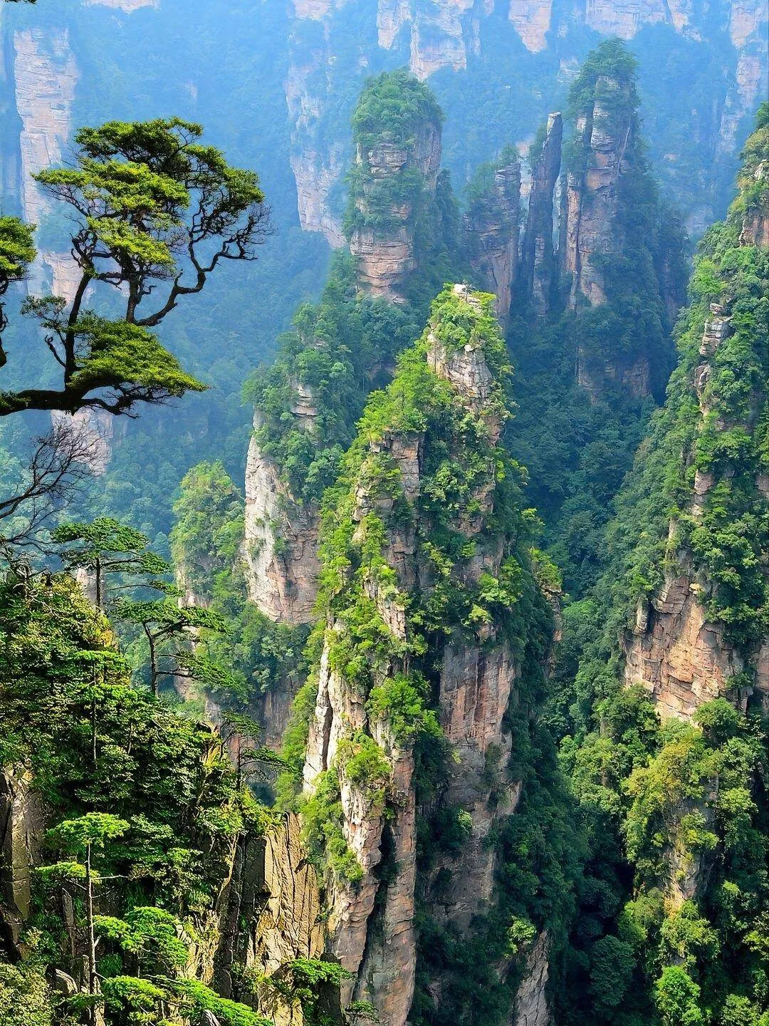 张家界张家界旅游张家界旅游(张家界旅游攻略自驾游旅游攻略)