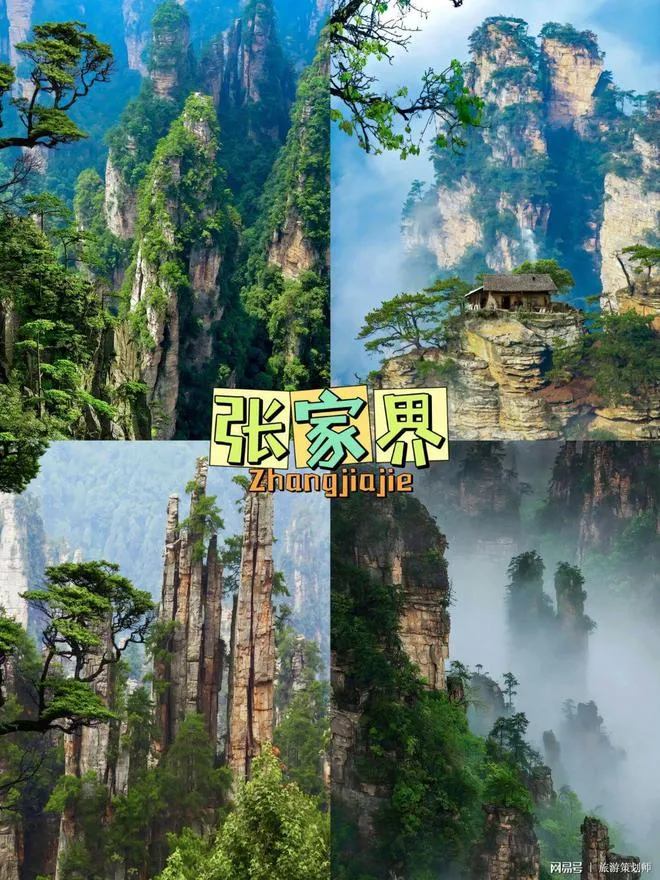 去张家界的旅行(去张家界的旅行团多少钱)