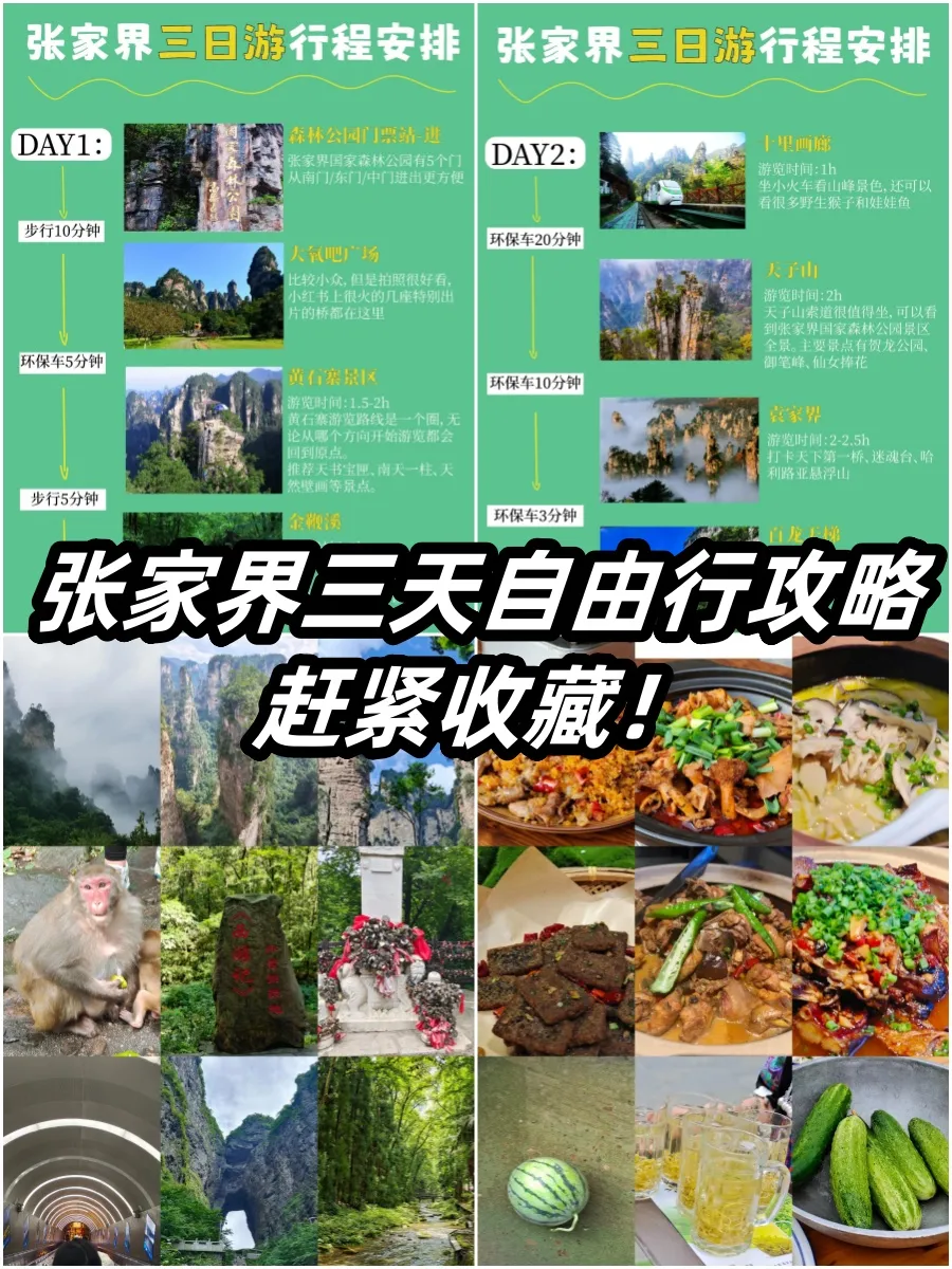 到张家界三日游攻略线路(到张家界自由行的旅游攻略)