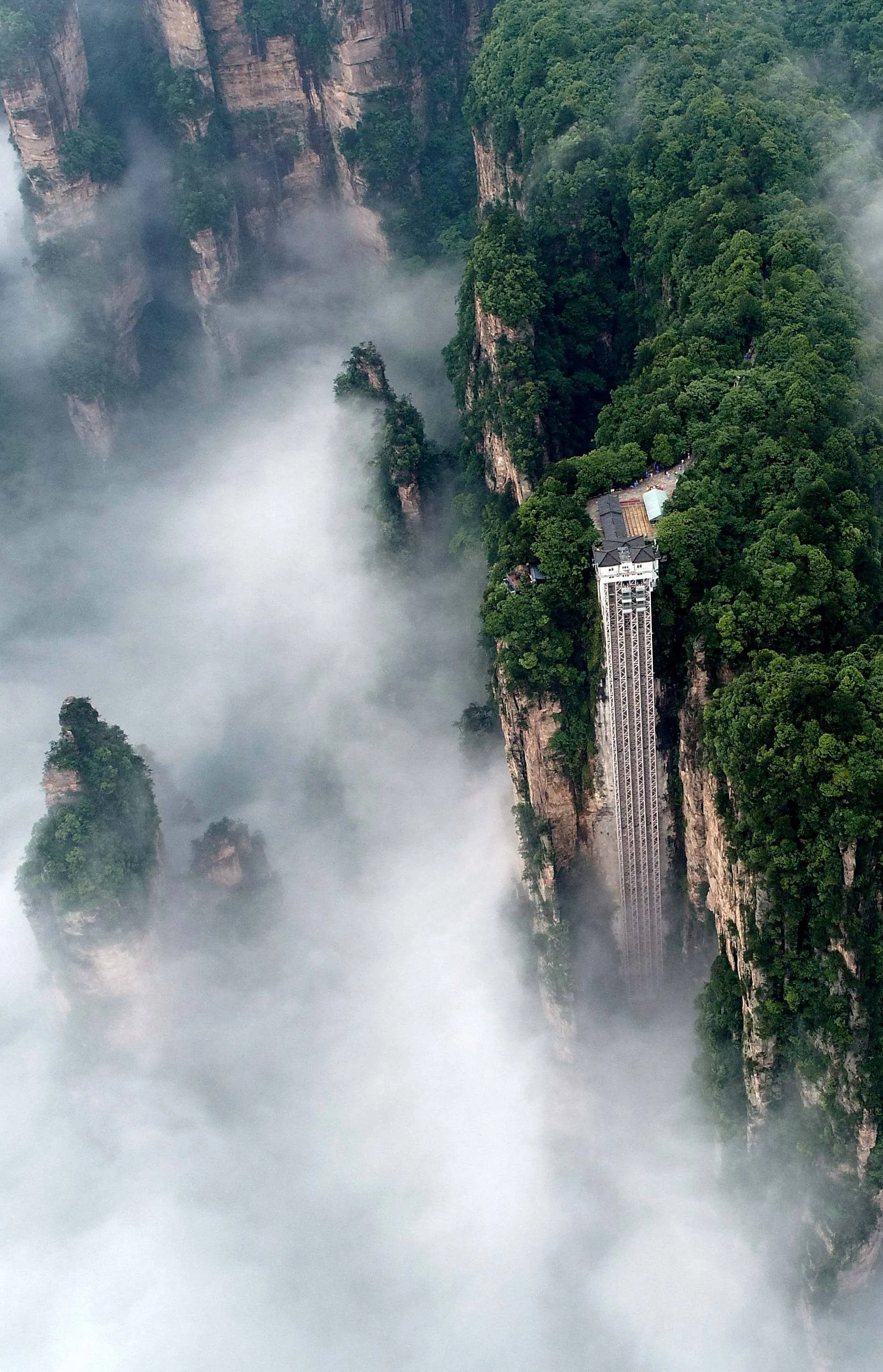 张家界来旅游(张家界来旅游要核酸吗)