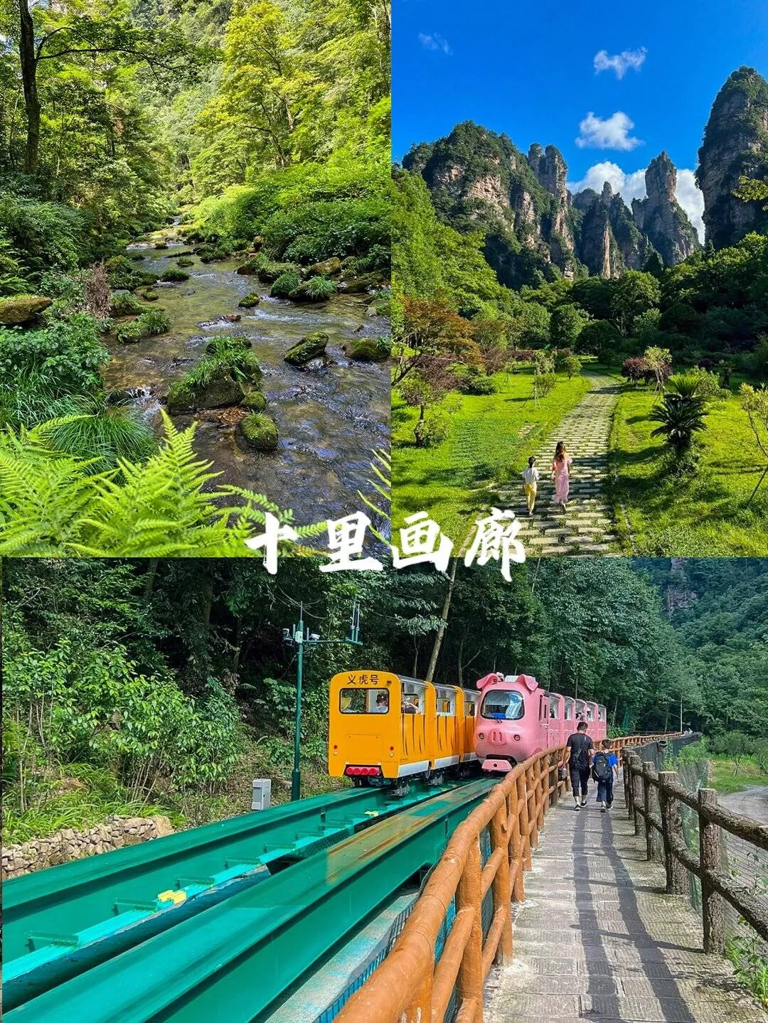 从长春出发到张家界自驾游路线(从长春出发到张家界自驾游路线怎么走)