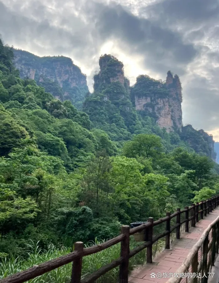 去张家界的旅行(去张家界的旅行团多少钱)