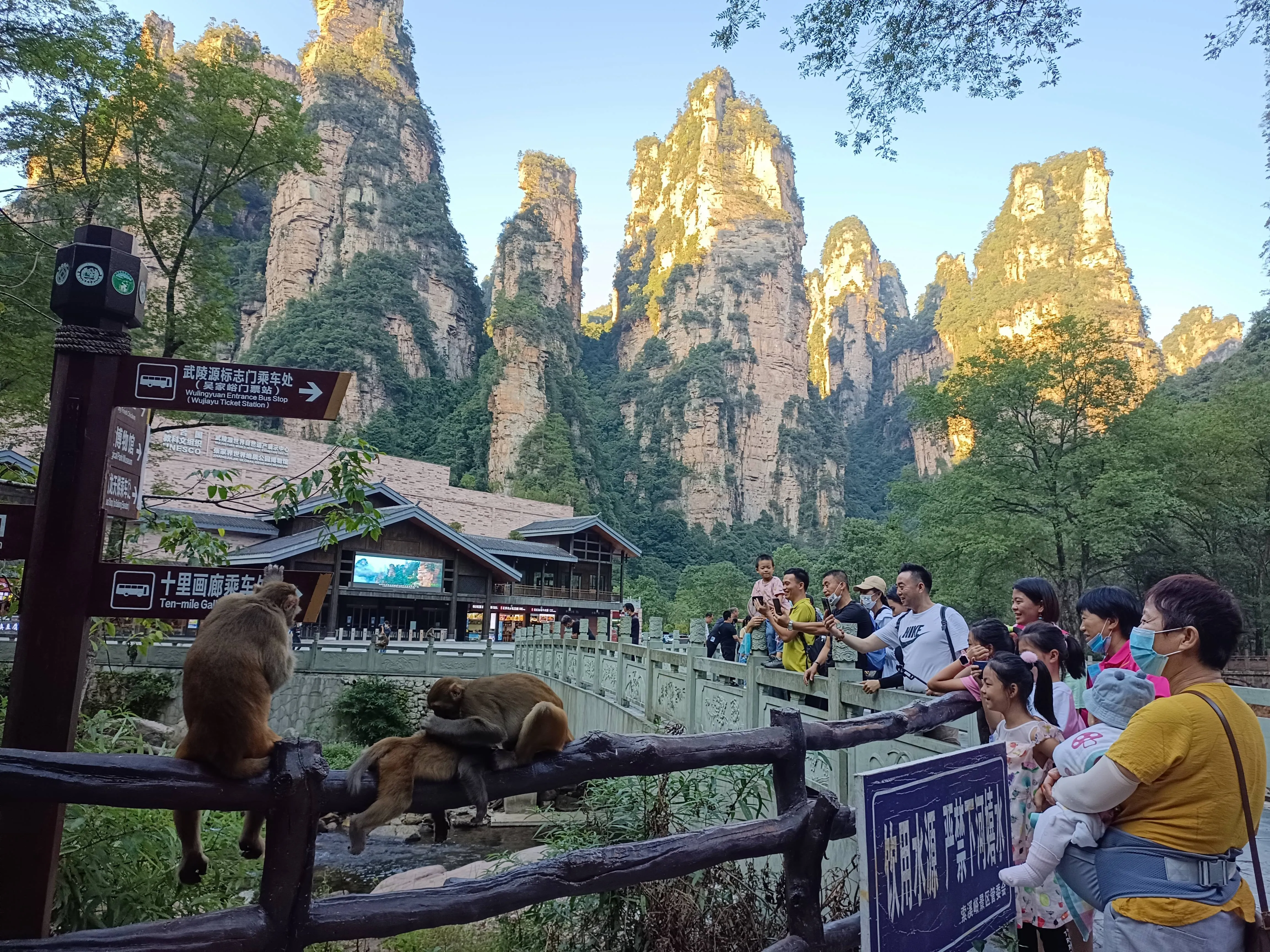 湖南张家界组团旅游攻略(湖南张家界旅游攻略自由行三天)