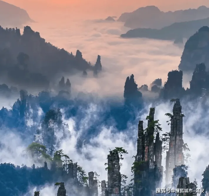 张家界张家界旅游张家界旅游(张家界旅游攻略自驾游旅游攻略)