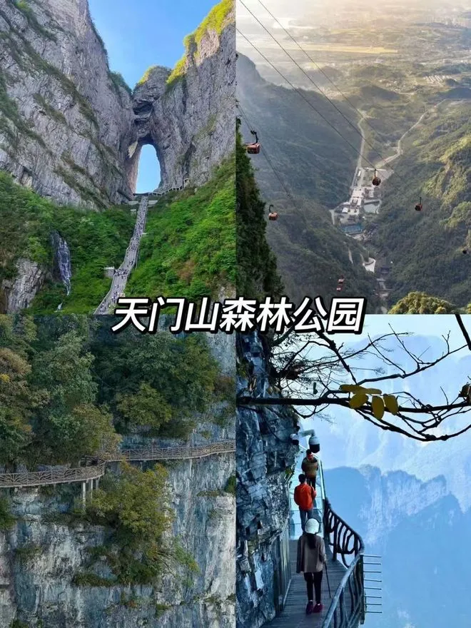 张家界天门山适合几点去(张家界天门山适合几点去看)