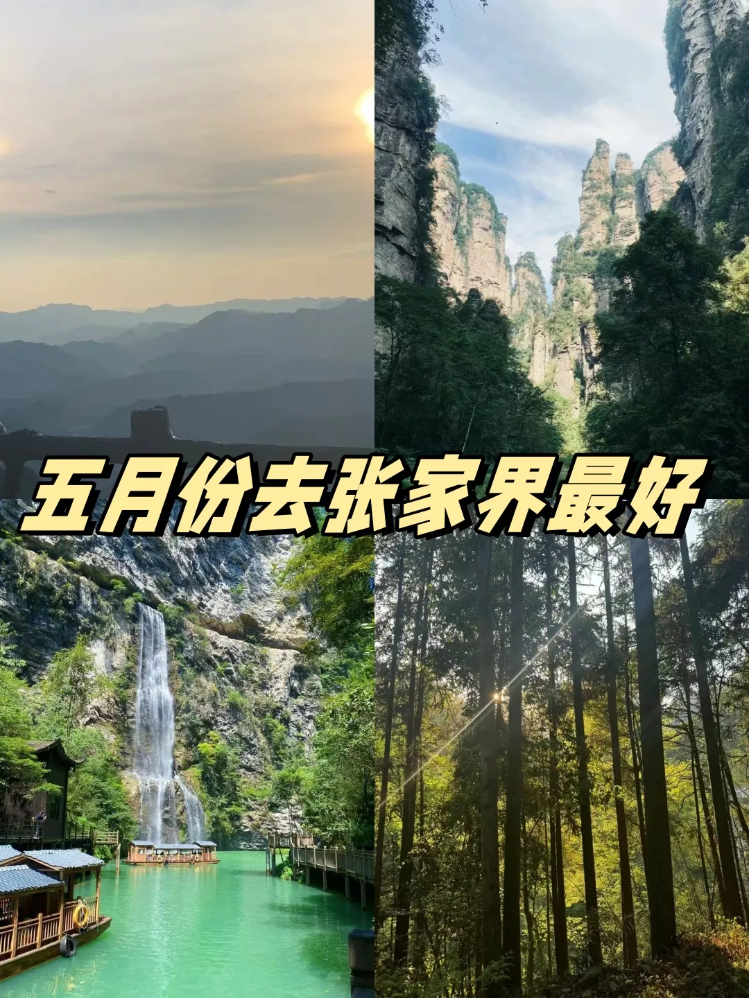 天门山好玩还是张家界(天门山好玩还是张家界国家森林公园好玩带娃儿)