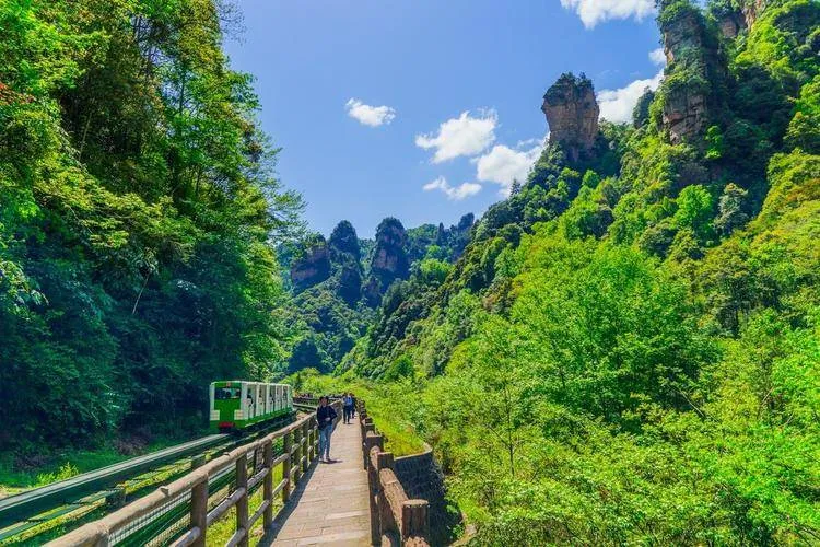 张家界旅游攻略必玩的(张家界旅游攻略必玩的景点介绍)