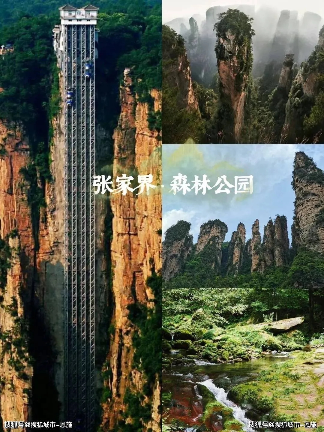 张家界天门山票价多少钱?(张家界天门山的门票多少钱一张)