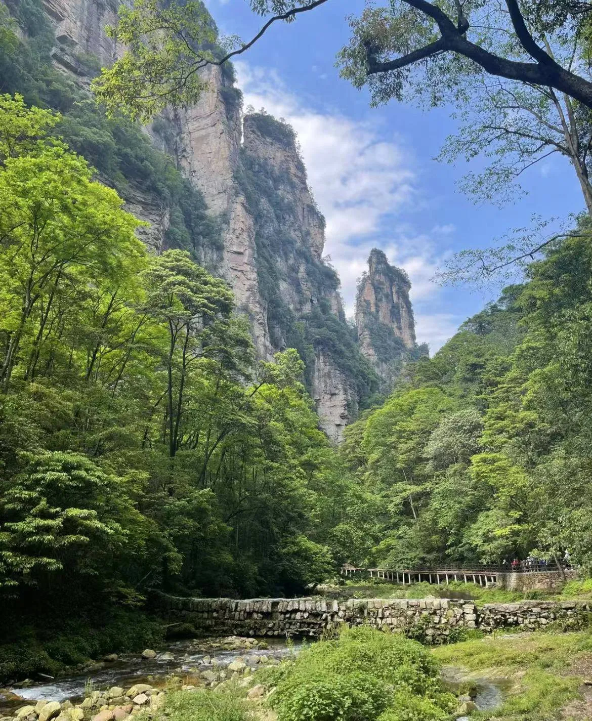 从青岛到张家界的旅游路线(从青岛到张家界的旅游路线图)