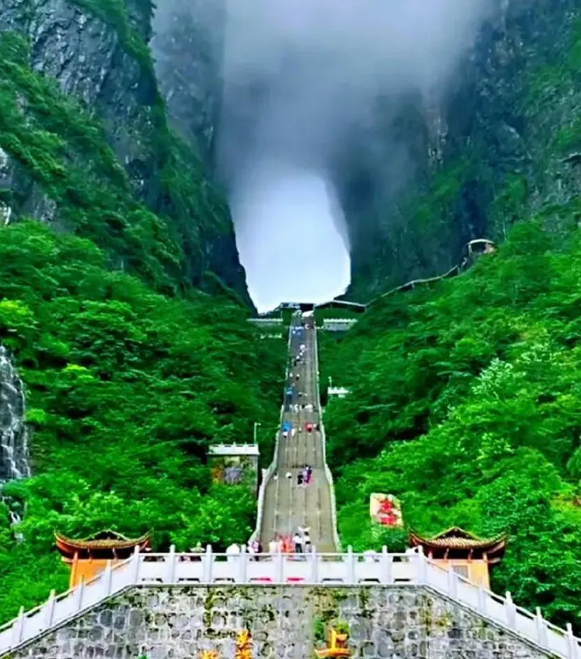 张家界天门山(张家界天门山国家森林公园)