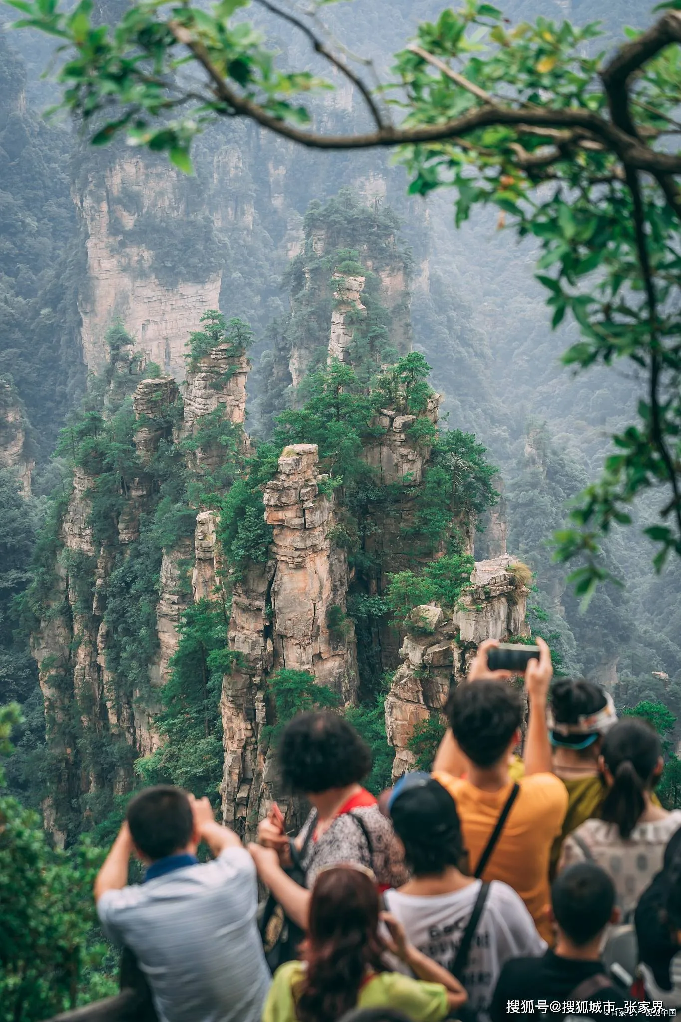 张家界天门山有(张家界天门山有多少级台阶)