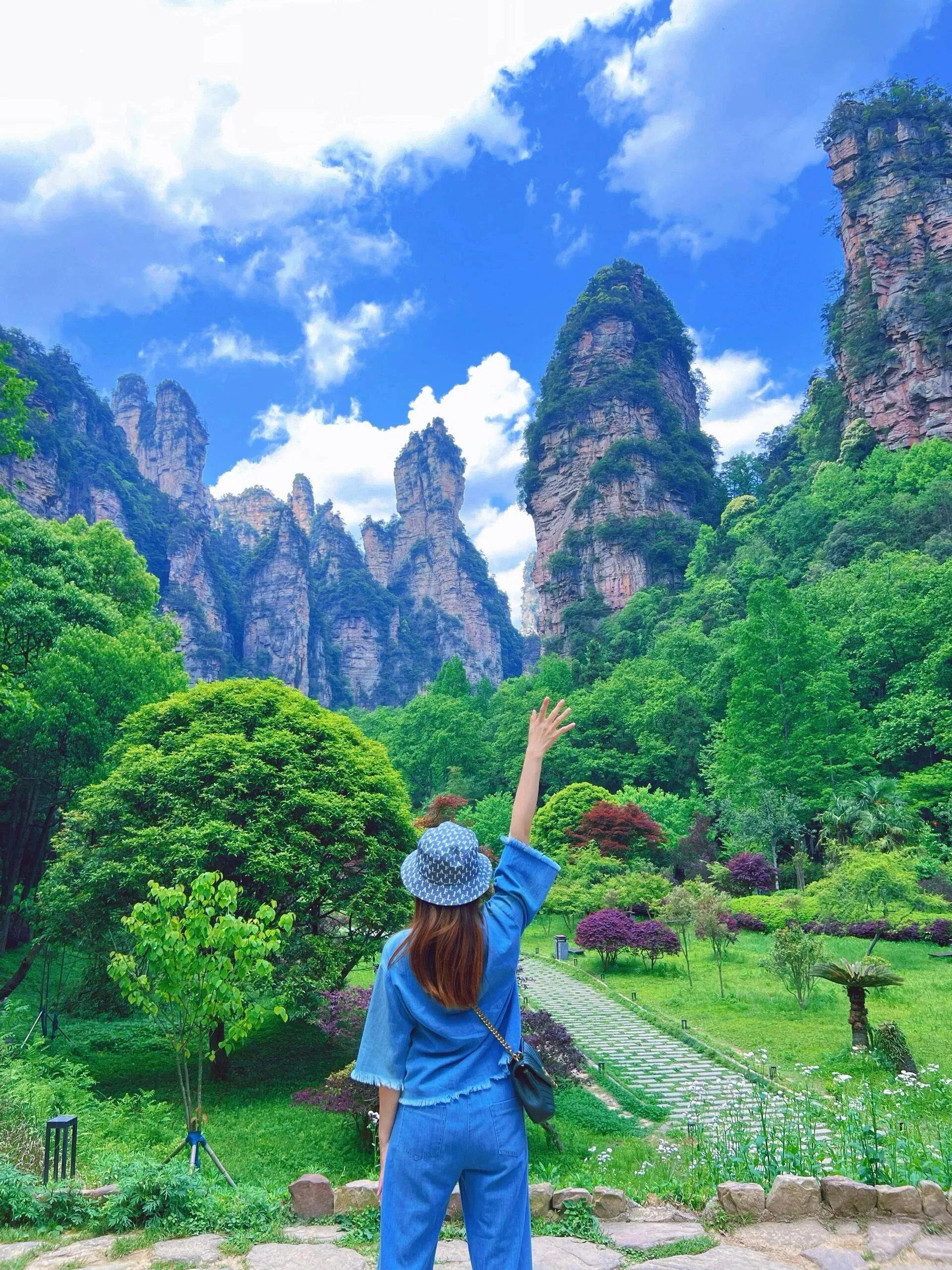 张家界旅行行(旅行张家界攻略)