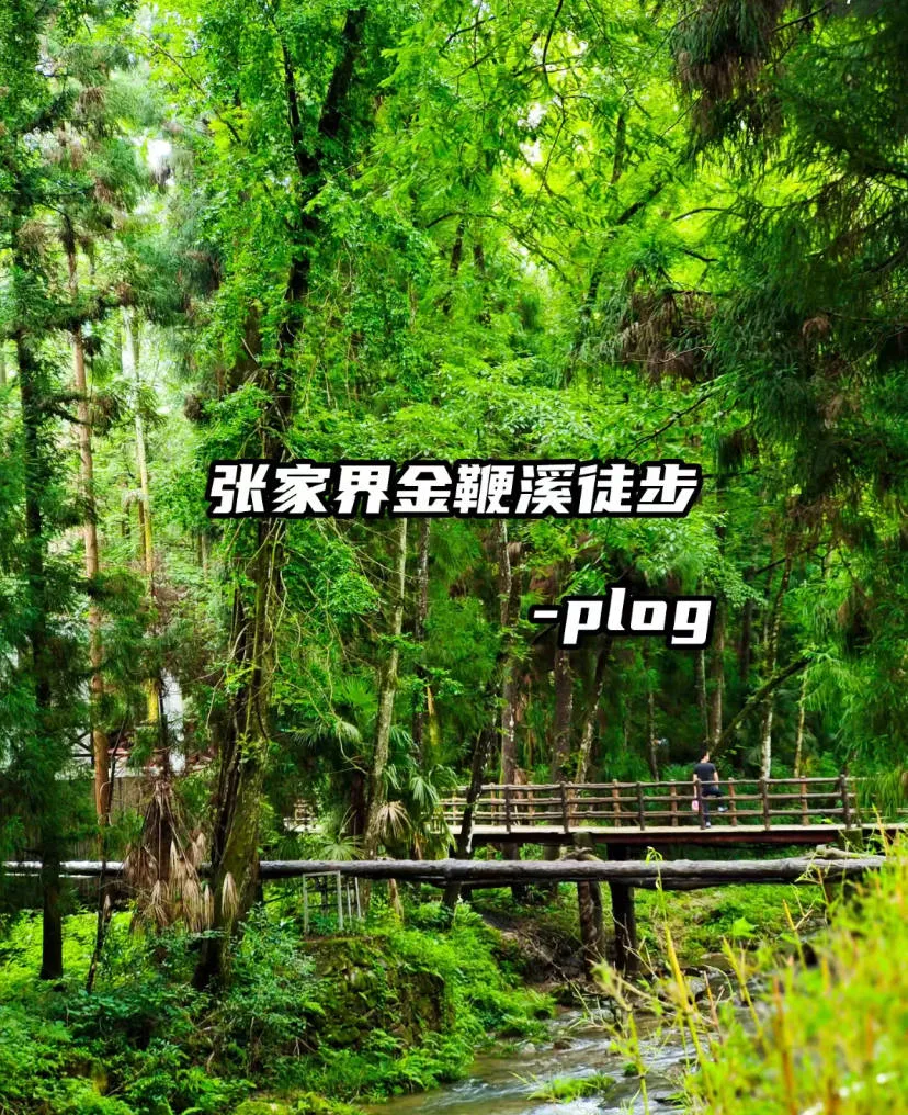 游张家界自助游攻略(张家界旅行攻略自助游)
