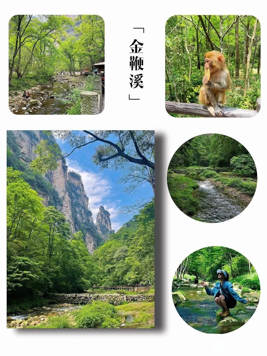 成都出发张家界自驾游路线推荐(成都自驾游张家界旅游攻略及费用)