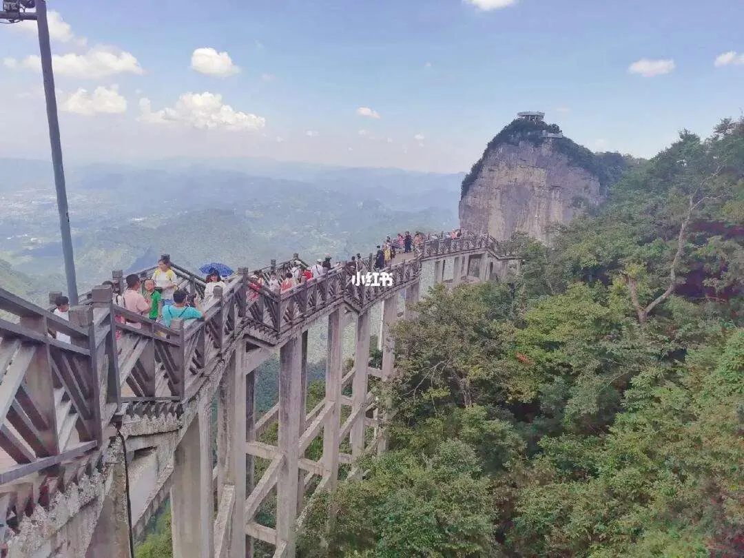 张家界天门山景区学生票(张家界天门山学生票怎么预定)