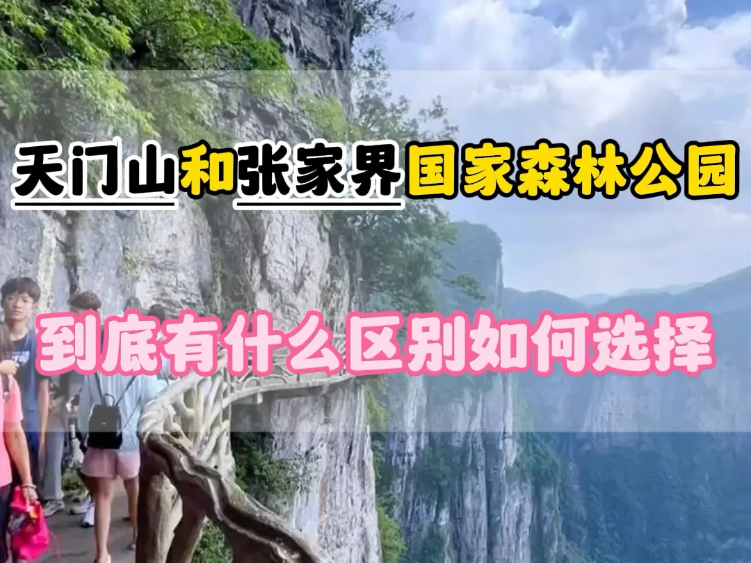 张家界天门山几点去合适(张家界天门山几点去合适旅游)
