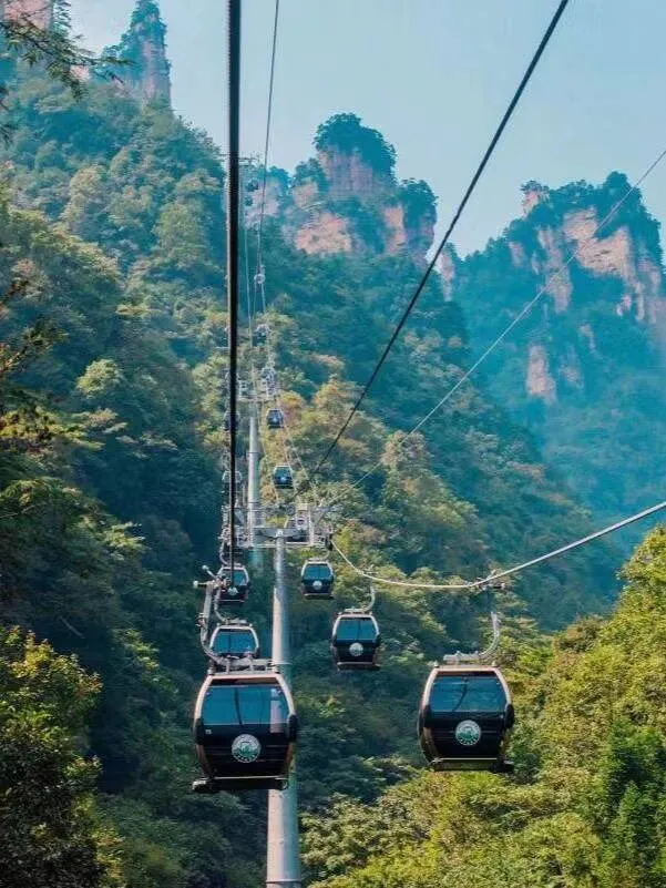河源到张家界旅游攻略(河源到张家界旅游攻略路线)
