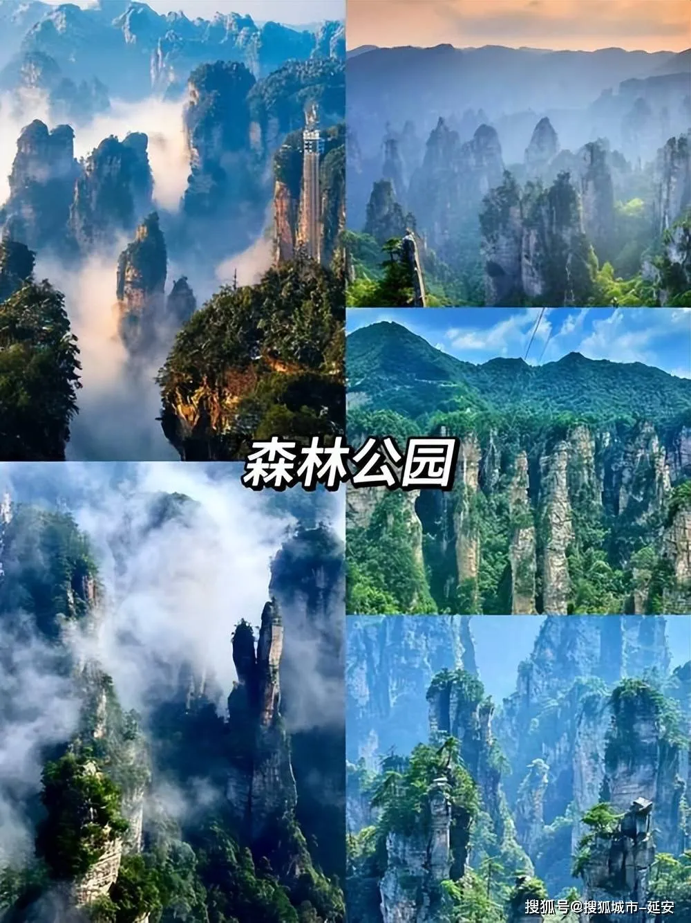 4天旅游张家界(张家界旅游4天3晚)