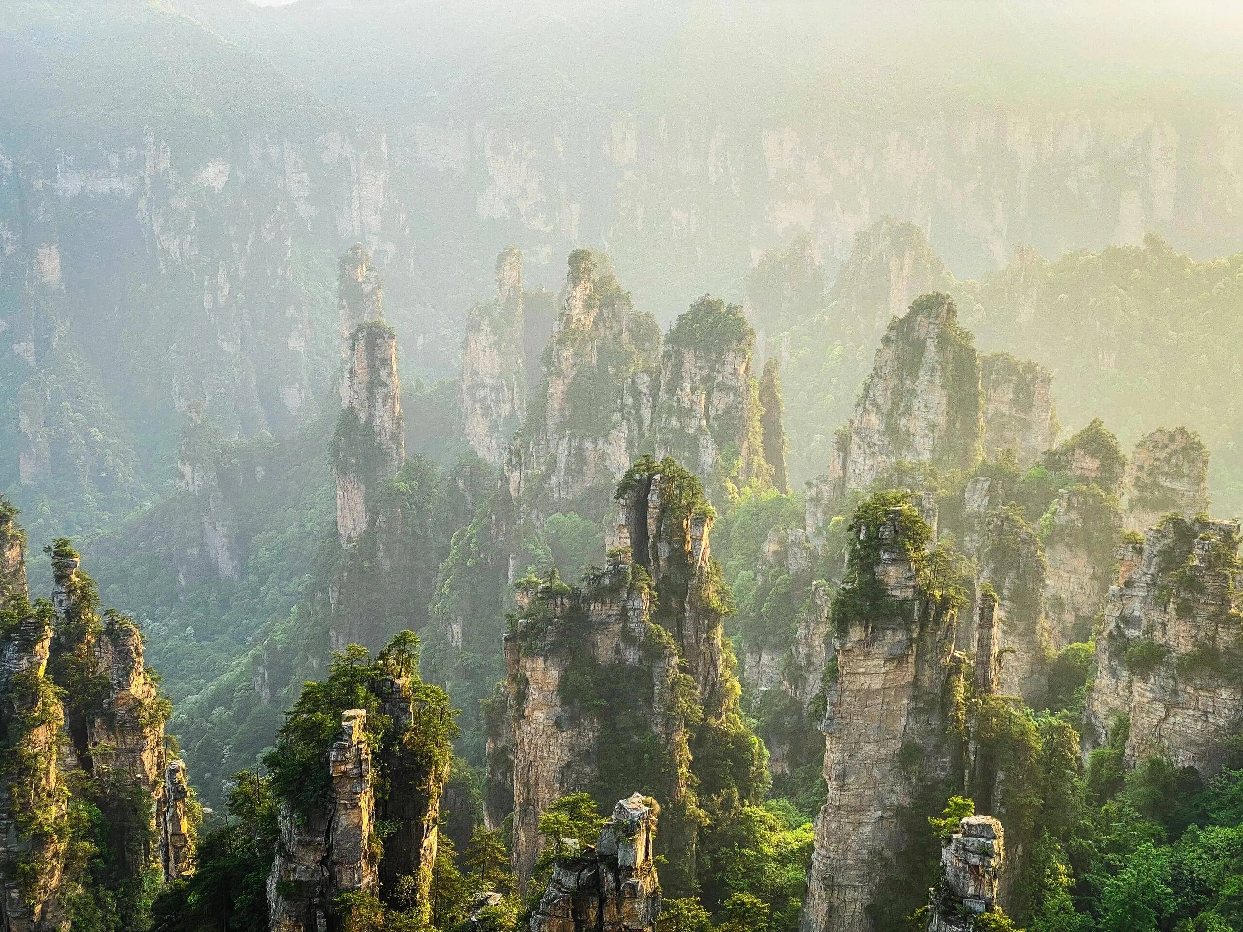 广州到张家界旅游攻略自由行三天(广州到张家界旅游攻略自由行三天要多少钱)
