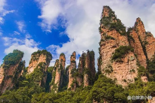 旅游去张家界张家界(去张家界旅游攻略怎么做)