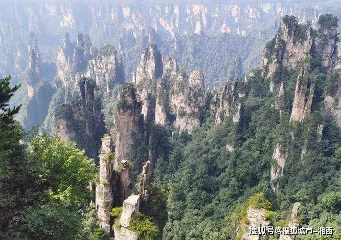 旅游张家界团多少钱(跟团张家界旅游多少钱)