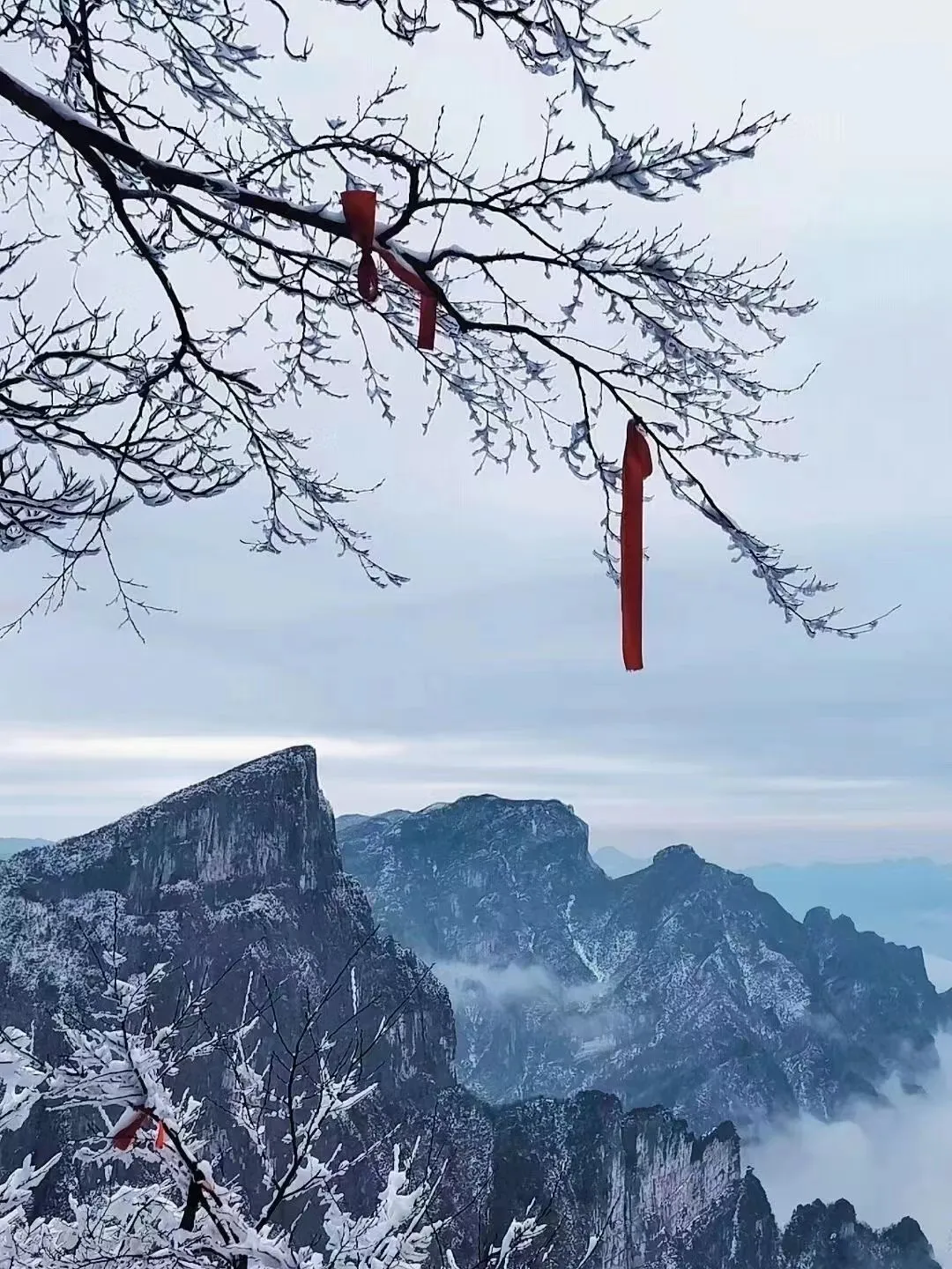张家界天门山一日游攻略张家界旅(张家界天门山一日游攻略张家界旅游攻略)