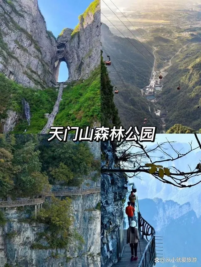 关于张家界自由行旅游张家界旅游的信息