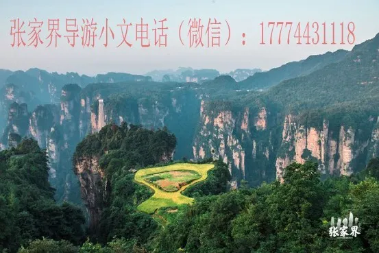 到张家界旅游的旅行社(到张家界旅游的旅行社叫什么)